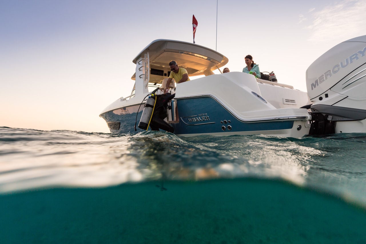 Boston Whaler